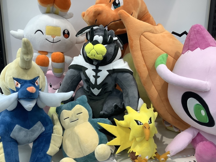 ポケモンのぬいぐるみが多数入荷しました!!｜2022年05月18日