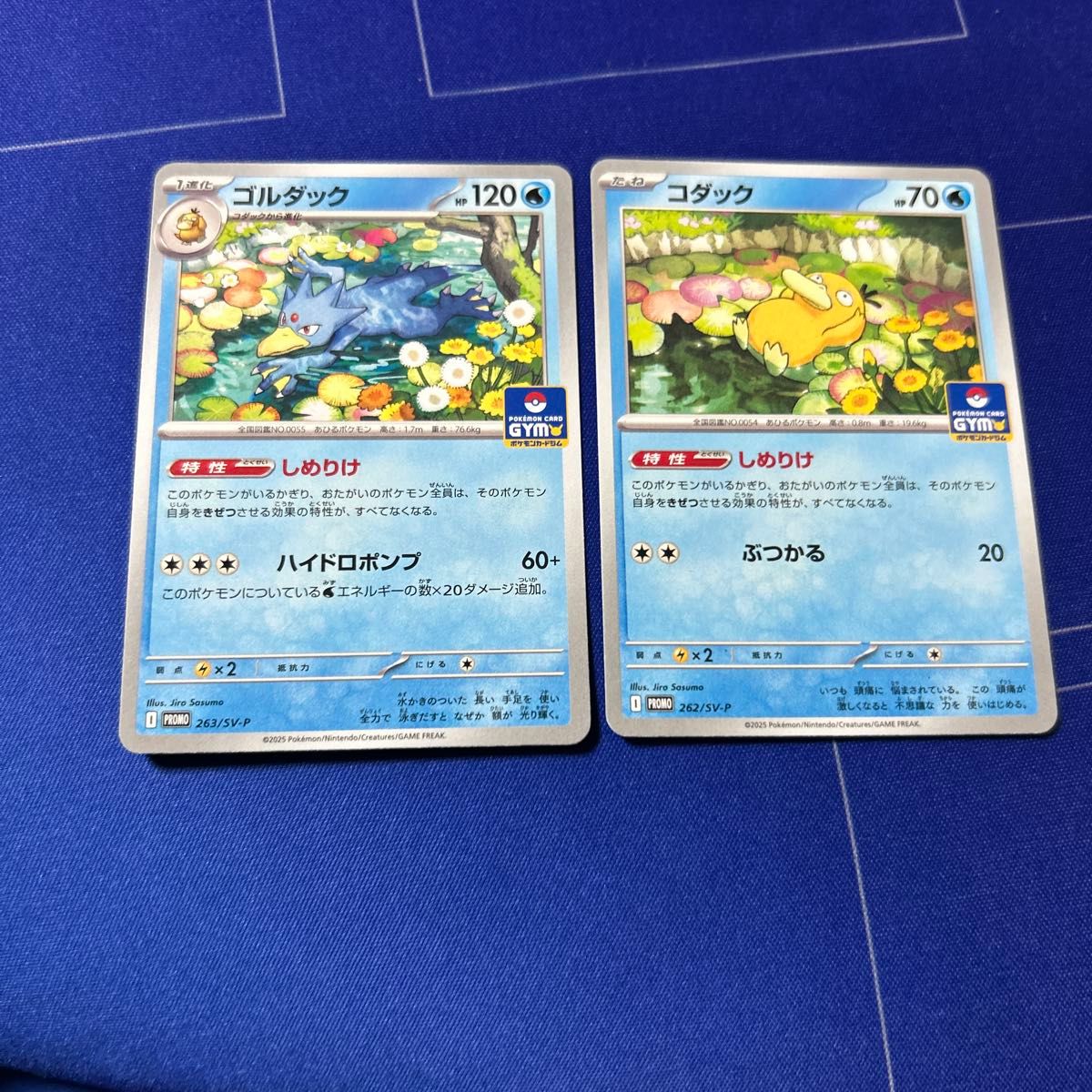 ポケモンカード ジムプロモ プロモーションパック 第10弾 120パック