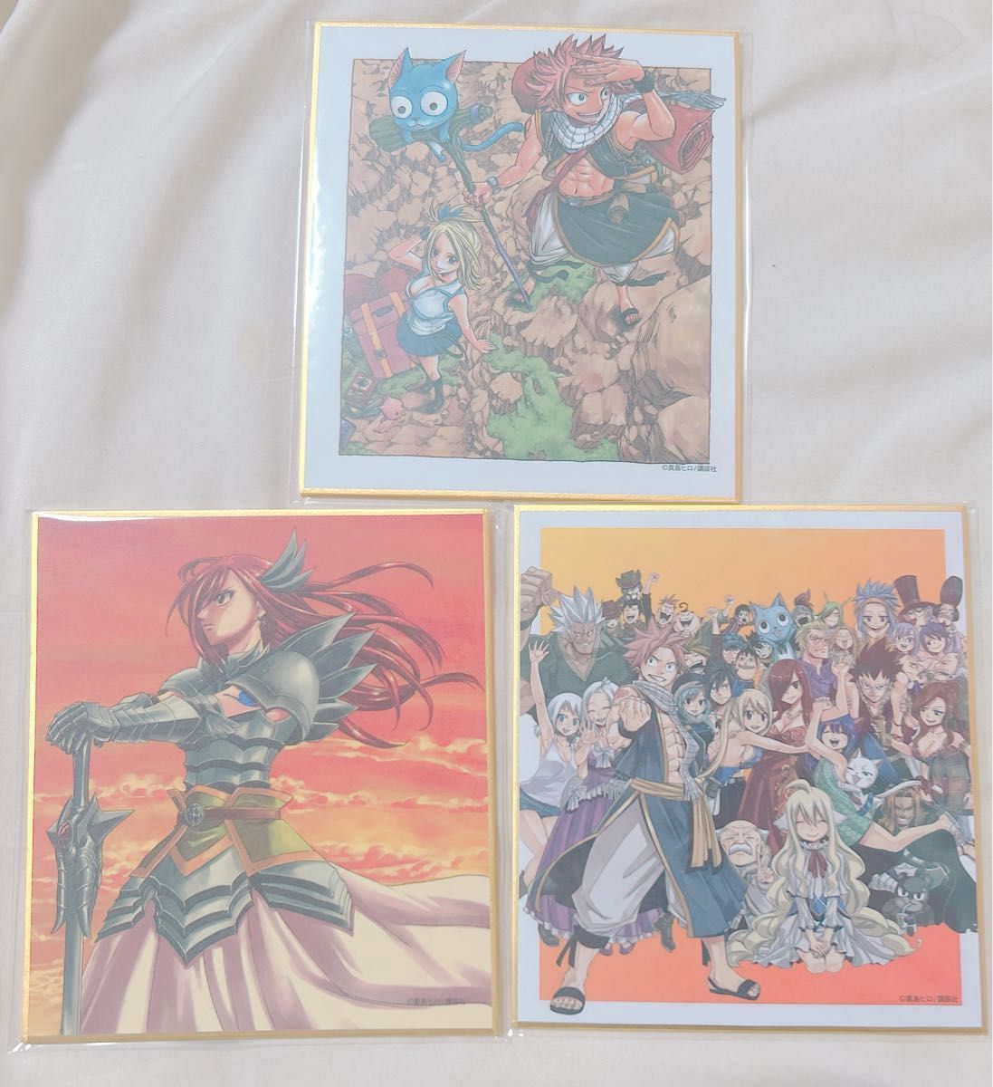 エルザ ナツ ルーシィ ハッピー ギルドメンバー 版画展 色紙