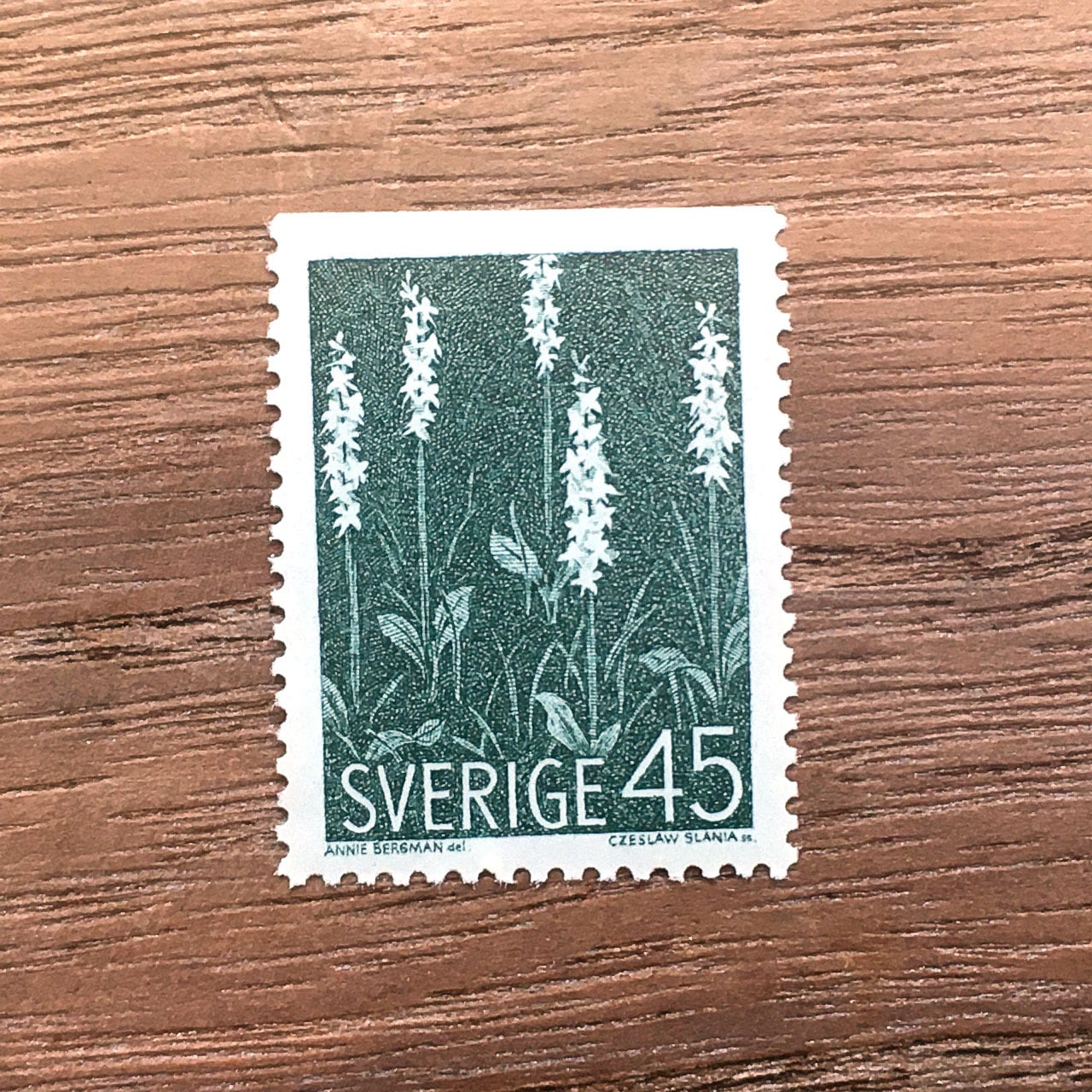 d488e88afae702cd4535598736e14e