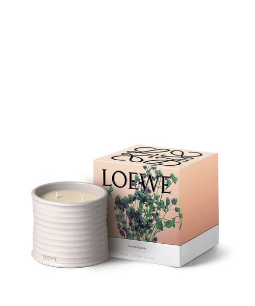 LOEWE Perfumes（ロエベ パルファム）の「ロエベ キャンドル オレガノ