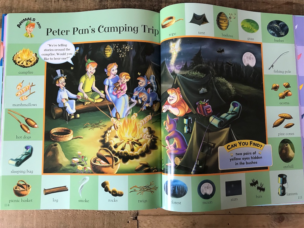 DWEフルセット購入の特典My Big Book of Words - ゆるりとDWEやおら