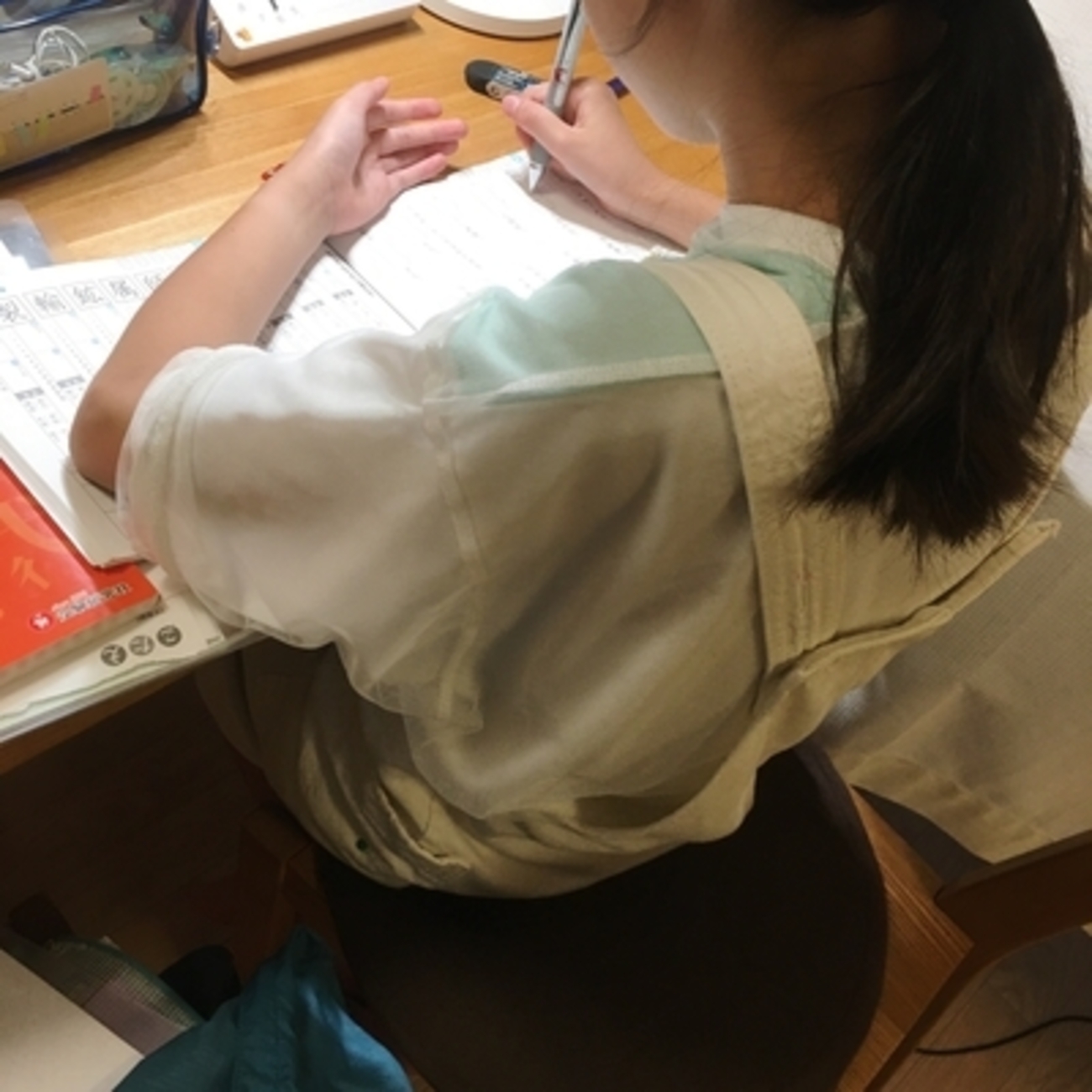 塾なし家庭学習、「問題集を選ぶ基準」 - ベリーの暮らし