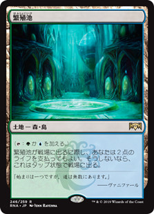 Breeding Pool | Ravnica Allegiance - Japanese | Star City Games