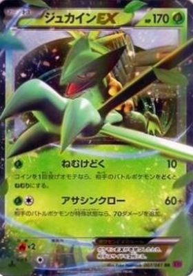 ジュカインEX(163/XY-P) | プロモ | ドラゴンスター | ポケモンカード