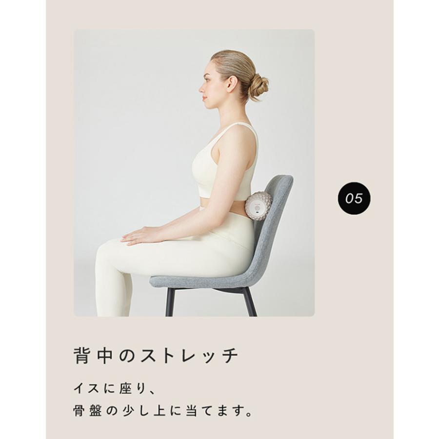 SIXPAD（シックスパッド） パワーローラー ツインズ SIXPAD Power