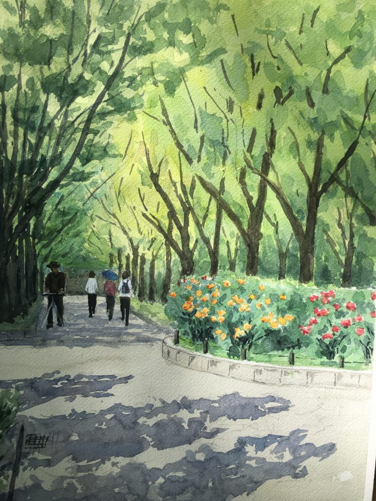 スケッチ会｜大阪市｜靱公園｜ケヤキ並木｜バラ園2019年5月｜風景画