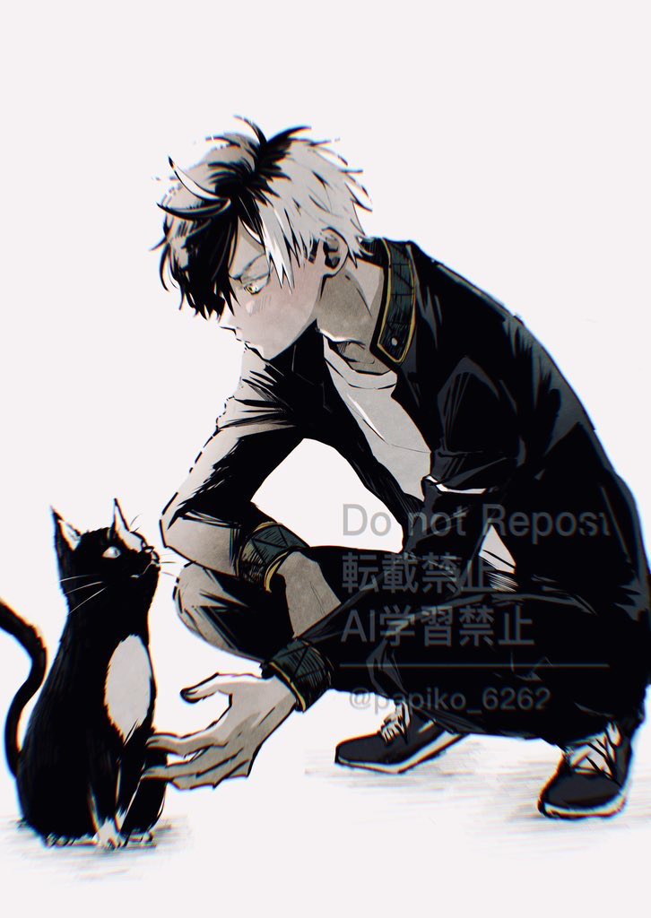 ぱぴこ (@papiko_6262) / Posts / X