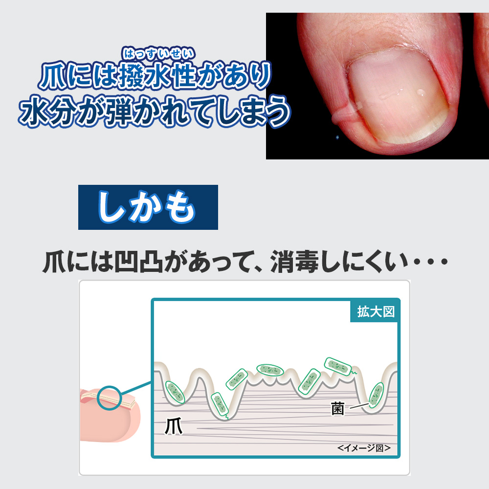 北の快適工房 【超PayPay祭セール】公式 クリアストロングショット