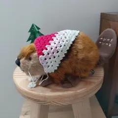 2026年最新】スーパービーバーちゃんの人気アイテム - メルカリ