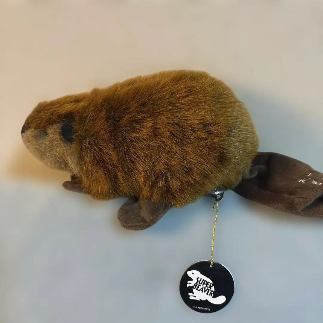 2026年最新】スーパービーバーちゃん ぬいぐるみの人気アイテム - メルカリ