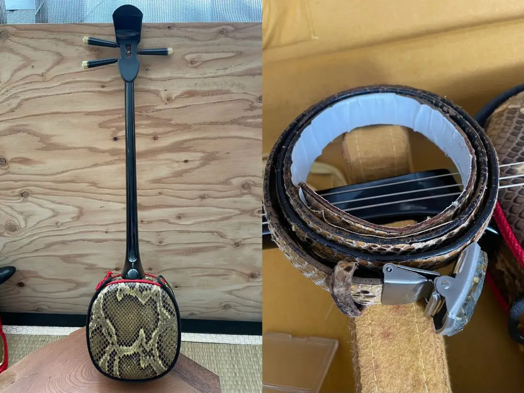 2026年最新】三線チーガの人気アイテム - メルカリ