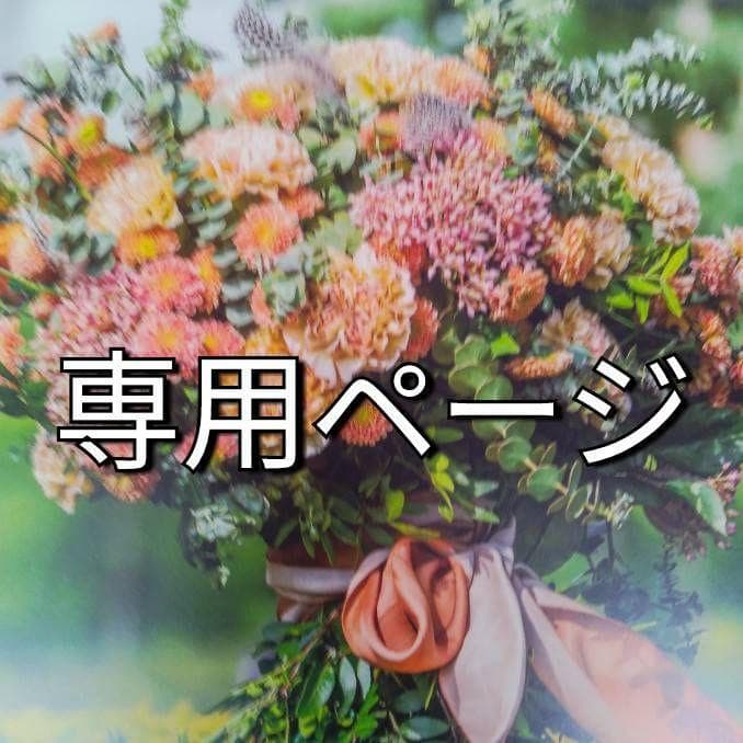 まる/4 700R4 4L60E 4L65E High Performance 3-4 Clutch Z-Pak Kit Raybestos