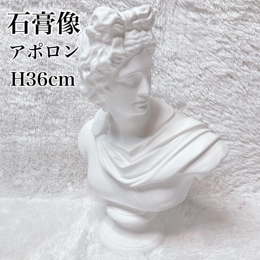 石膏像 アポロン ￼￼￼￼￼アポロ 胸像 デッサン 美術 彫刻 オブジェ Amazon.co.jp: 石膏像 A－349 アポロ胸像（中） H．35．5cm