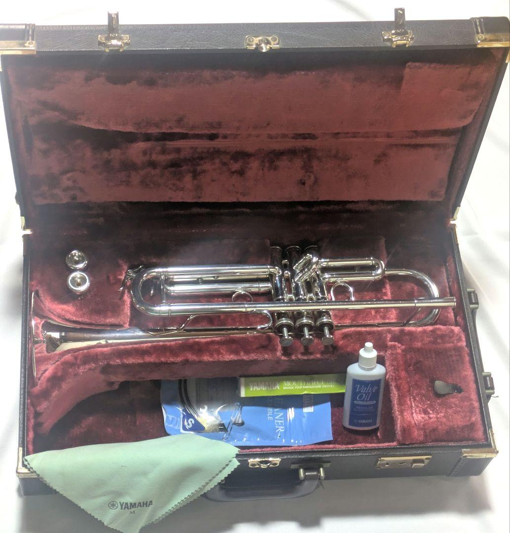 YAMAHA　 ヤマハ　YTR 800GS