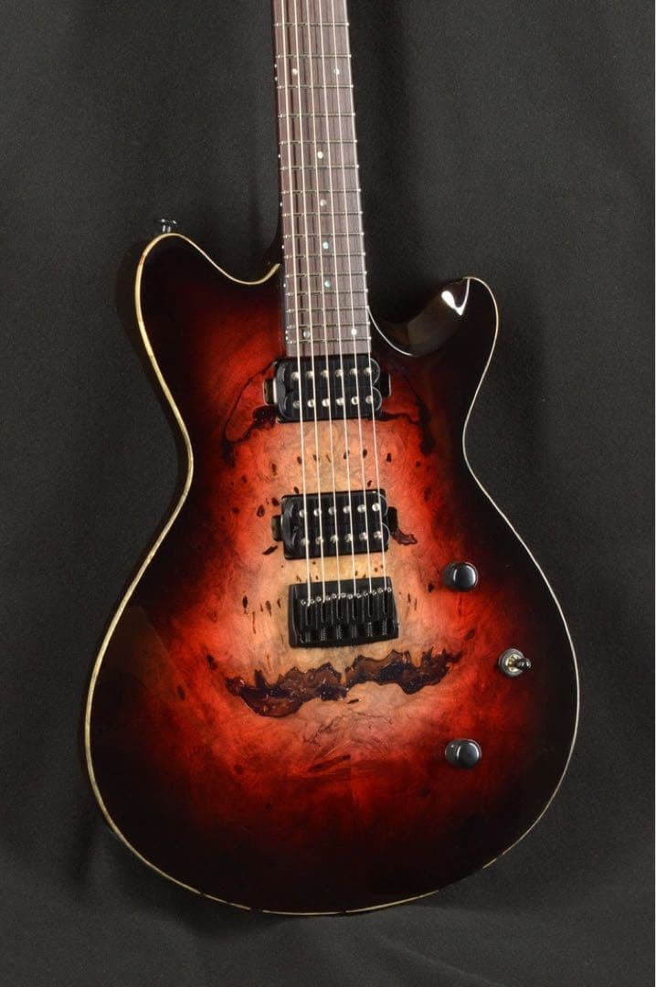 ギター T's Guitars Vena24 Nether Red VENA · T's Guitars