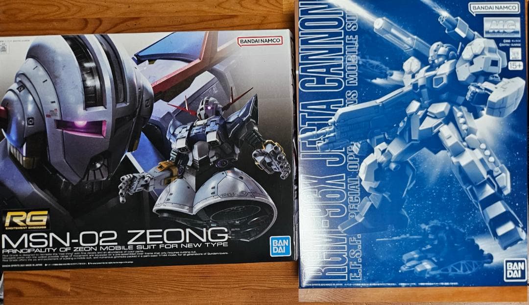RG 1/144 ジオング、MG 1/100 ジェスタ・キャノンの２点セット