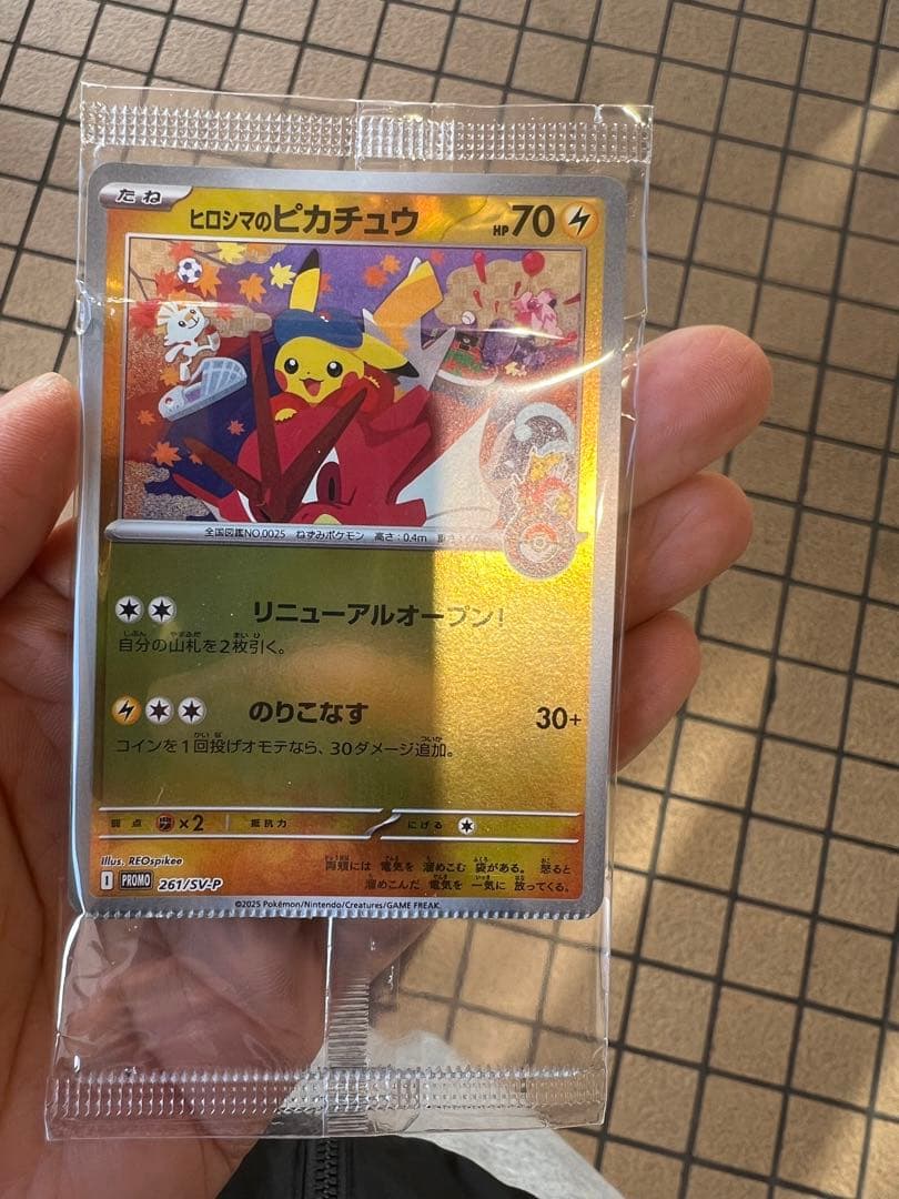 ヒロシマ　ピカチュウカ-ドゲム