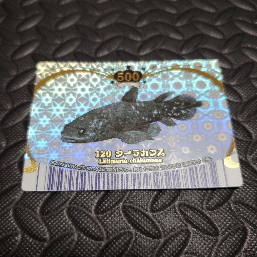 マリンマリンカード ＊シーラカンス＊ ☆マリンマリン☆カード【120R