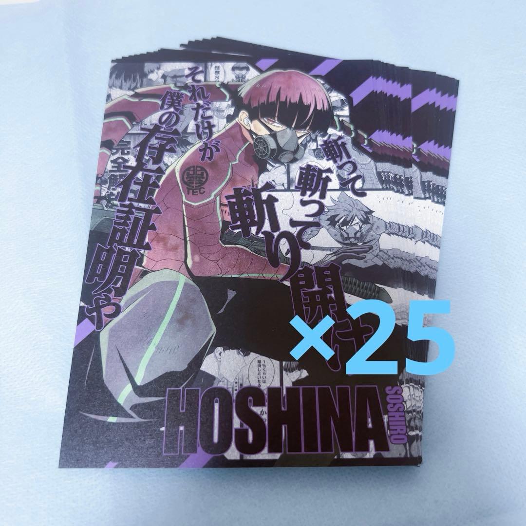 保科宗四郎 ポストカード