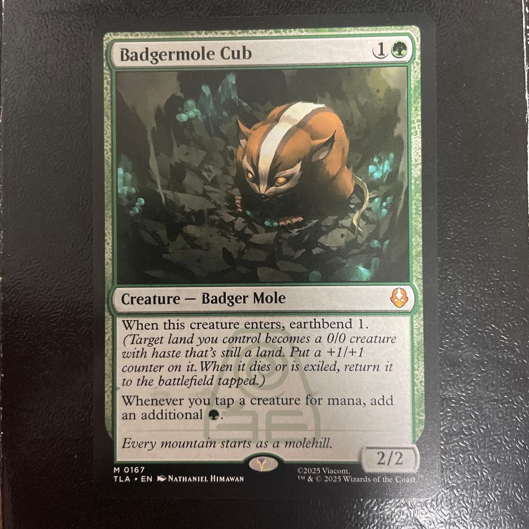 アナグマモグラの仔 英語 1枚 MTG アナグマモグラの仔 英語版 - メルカリ