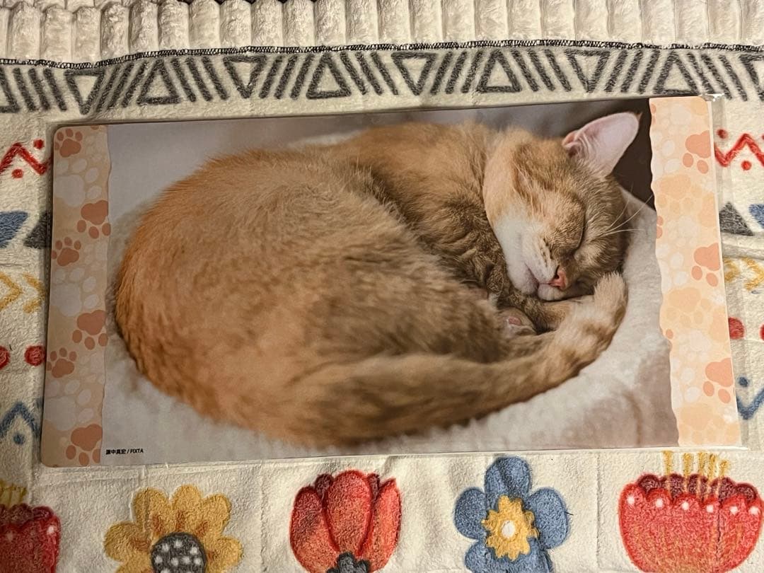 ブロッコリートレカアイテムEX猫これくしょん　ファイナルドロー賞　プレイマット ブロッコリートレカアイテムくじEX「猫これくしょん」 | TCG