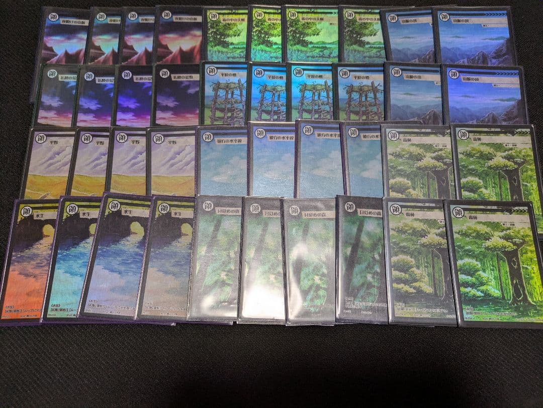 アニマルカードゲーム　領土カードセット アニマルカードゲーム | Animalカード Game